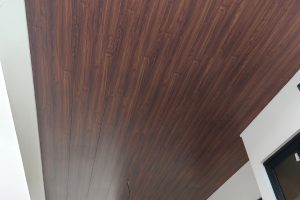 Ceiling Panel