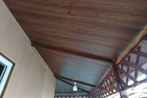 Ceiling Panel