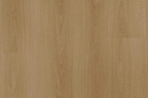 Y61 # Europa Oak