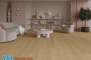 Y61 # Room Scene